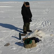 Александр Пушкарёв