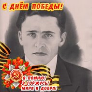 Светлана Камарницкая