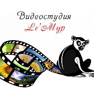 Видеостудия Lemyp