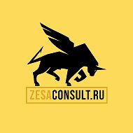 Zesa Consult