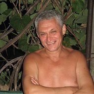 Анатолий Левин