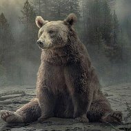 Медвежонок 🐻