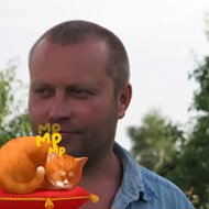 Дмитрий Волков