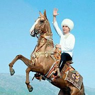 Mekan Turkmen