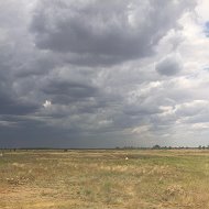 Александр Наконечный