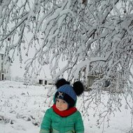 Андрей Савельев