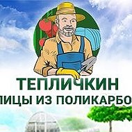 Дмитрий Тепличкин