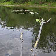 Павел Сергеевич