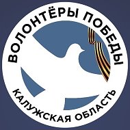 Волонтеры Победы