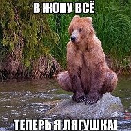 Лягушка Безфамильная