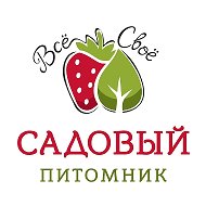 Саженцы Деревьев