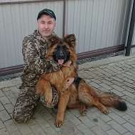 Андрей Прямиков