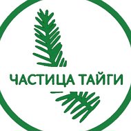 🌲пихтовая Подушка🌲