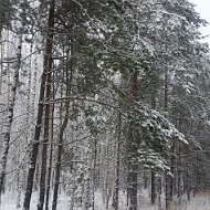 Гостевые Домики