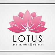 Магазин Lotus