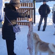 Анжелика Алфимова