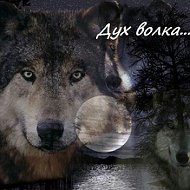 Дух Волка