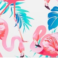 Flamingo Vi