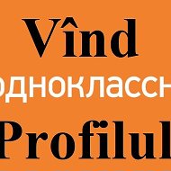 Vînd Profilul