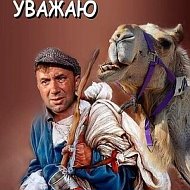 Александр Волошин