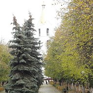 Алексеевские✌️✌️ Белгородская