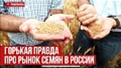 Горькая правда про рынок семян в России
