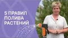 А Вы правильно поливаете свои растения?