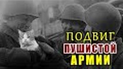 «Мяукающая Дивизия» - Кошки которые спасали Ленинград. Военн...