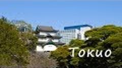 Япония, Токио. часть 1 (цветение сакуры, японское метро, пар...