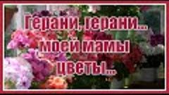 &quot;Герани, герани... моей мамы цветы...&quot; Красивая и душевная п...