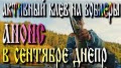 Анонс &quot;Активный КЛЕВ на Воблеры в Сентябре река ДНЕПР&quot;