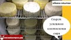 Секрет успешного изготовления сыра. ОБМЕН ОПЫТОМ. мяснойвопр...