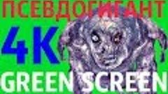 ФУТАЖ - &quot;GREEN SCREEN&quot; IDLE ПСЕВДОГИГАНТ (С.Т.А.Л.К.Е.Р.)