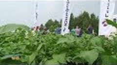 В КРиММе прощёл картофельный тур для производителей со всей ...