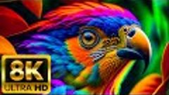 WILD BIRDS - 8K (60FPS) ULTRA HD - With Nature Sounds (Color...