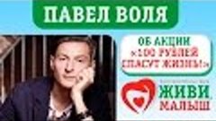 Павел Воля об Акции &quot;100 рублей спасут жизнь&quot;.