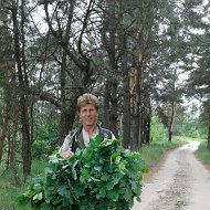 Алексей Филиппский