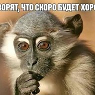 Артур Попов