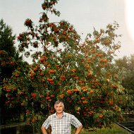 Александр Князев