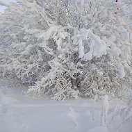 Анатолий Войтенко