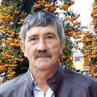 Юрий Шевелёв