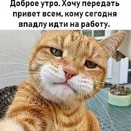 Николай Приподобный