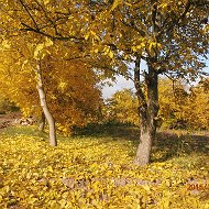 Галина Пижовская