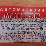 Автомагазин Магнум