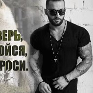 Dima Bull