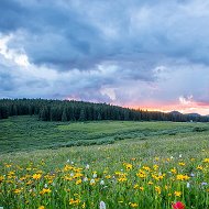 Пётр Селуков