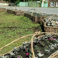 Willow Basketry