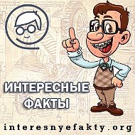 Интересные Факты