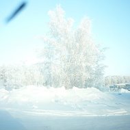 Галина Журавлева