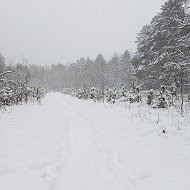 Толя Алексеев